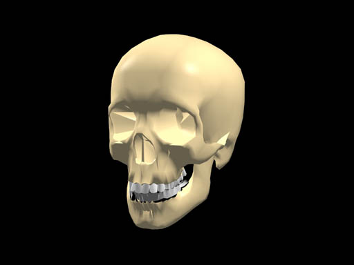 skull1