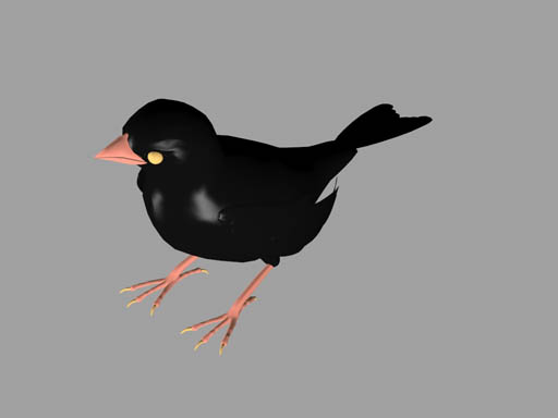 bird2