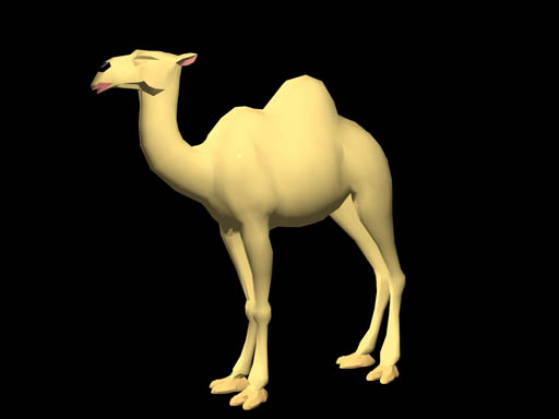 camel