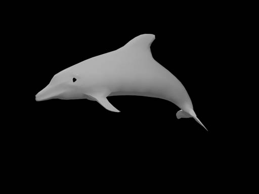 dolphin