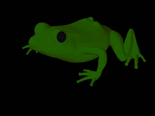 frog