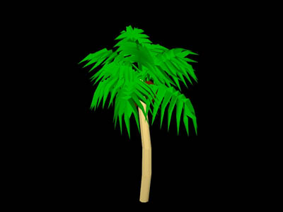 palm