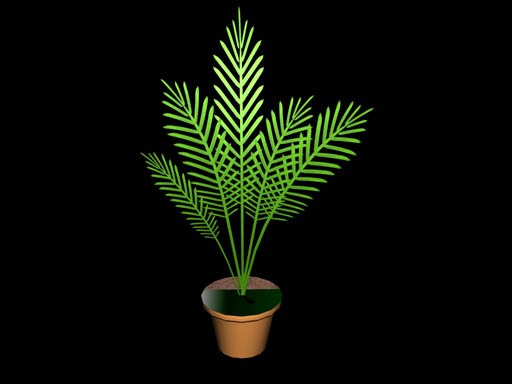 plant2